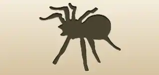 クモ