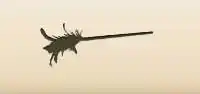 Magic Wand silhouette