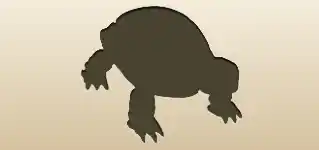 リクガメ
