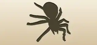 クモ