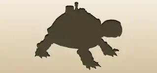 リクガメ