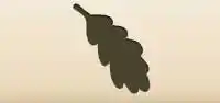Oak Leaf