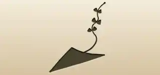 凧