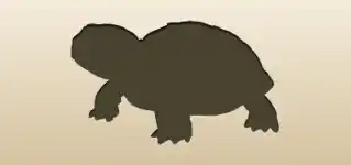 リクガメ
