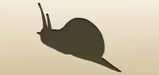 Snail