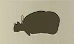 お金の詰まった袋