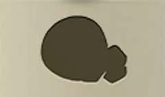 オレンジ