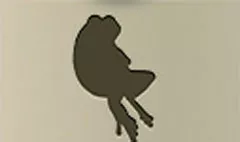 カエル