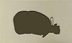 お金の詰まった袋