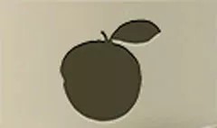 オレンジ