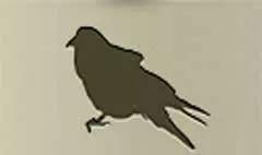 鳥