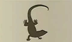 トカゲ