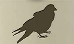 鳥