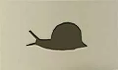 カタツムリ
