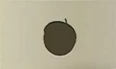 オレンジ