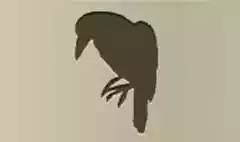 鳥