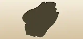 Police Badge