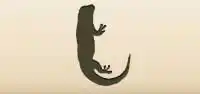 Lizard