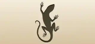 Lizard