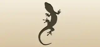 Lizard