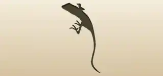 Lizard