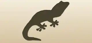 Lizard