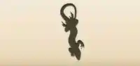 Lizard