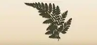 Fern