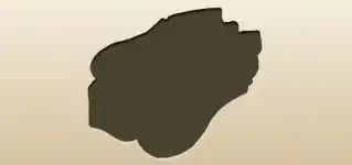 Police Badge
