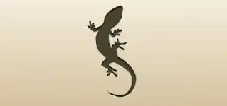 Lizard