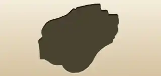 Police Badge