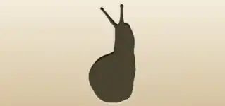 Snail