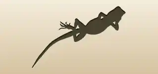 Lizard