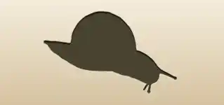 Snail