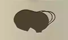 虫眼鏡