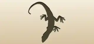 Lizard