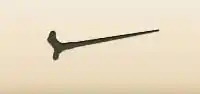 Walking Stick