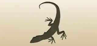 Lizard