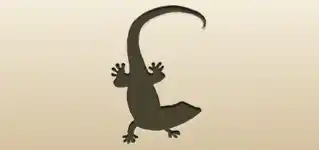 Lizard