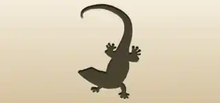Lizard