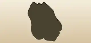 Police Badge