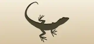 Lizard