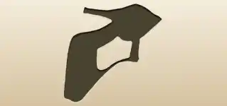 Shoe