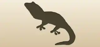 Lizard