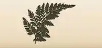 Fern