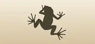 カエル