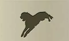 犬