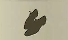 靴