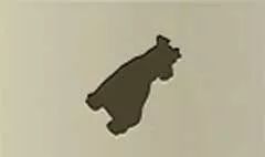 犬
