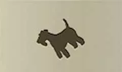 犬